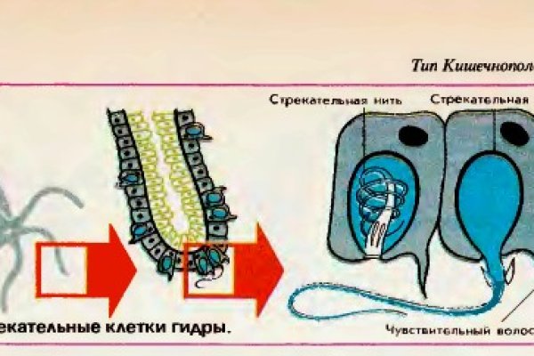 Kra37.cc